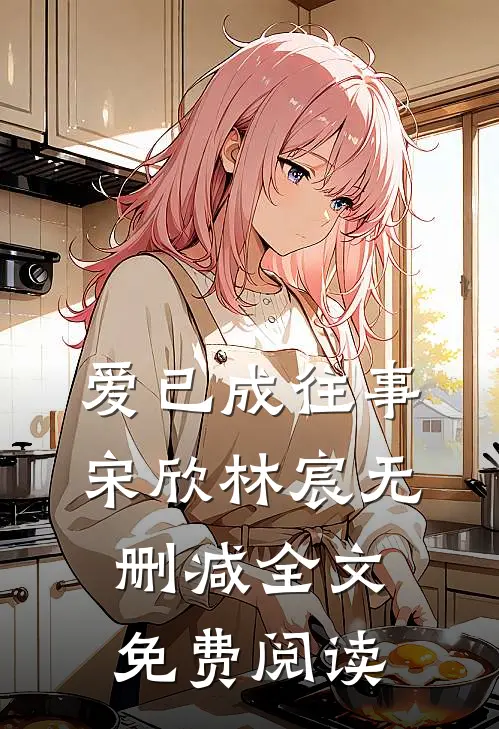 爱已成往事 宋欣林宸无删减全文免费阅读