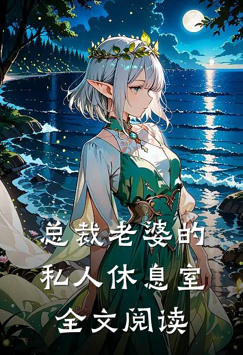 总裁老婆的私人休息室全文阅读