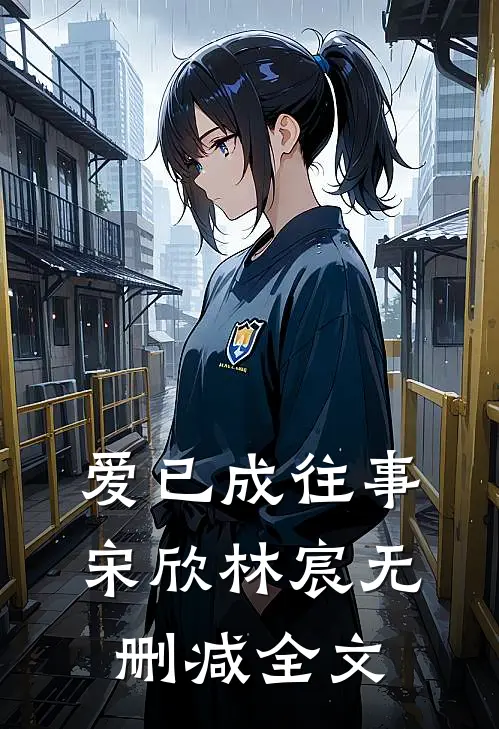 爱已成往事 宋欣林宸无删减全文