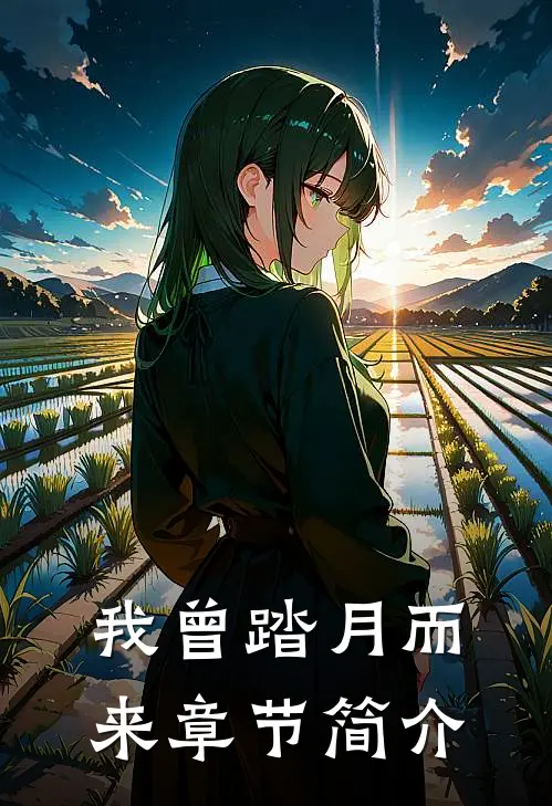我曾踏月而来章节简介
