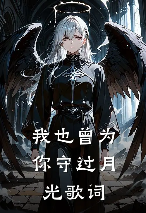 我也曾为你守过月光歌词