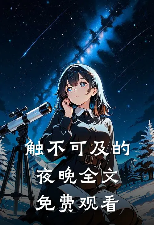触不可及的夜晚全文免费观看