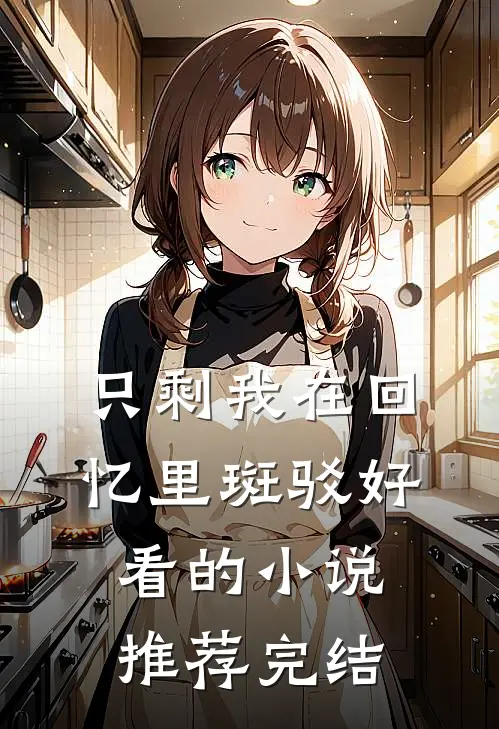 只剩我在回忆里斑驳好看的小说推荐完结
