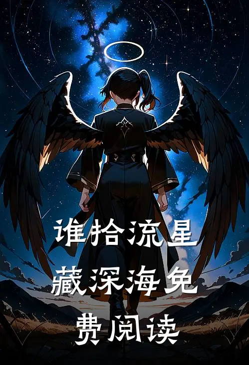 谁拾流星藏深海免费阅读