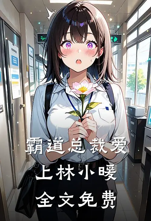 霸道总裁爱上林小暖全文免费