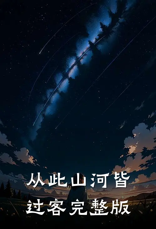 从此山河皆过客完整版