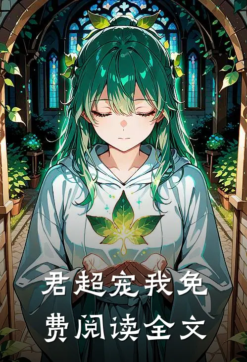 君超宠我免费阅读全文