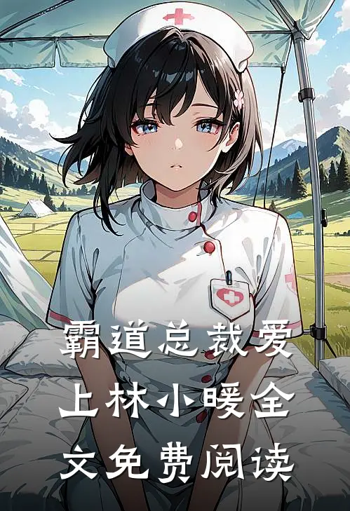 霸道总裁爱上林小暖全文免费阅读