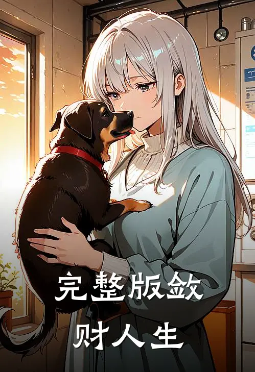 完整版敛财人生