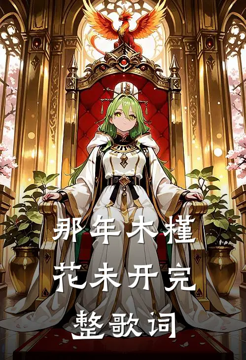 那年木槿花未开完整歌词