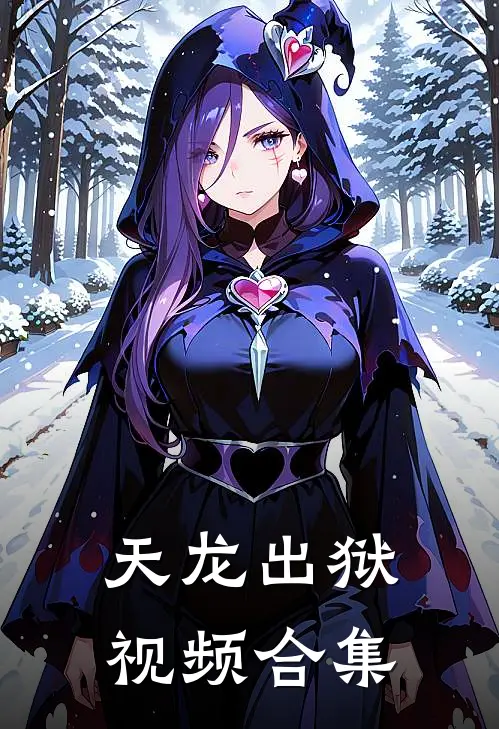 天龙出狱视频合集