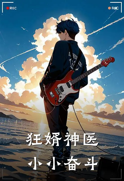 狂婿神医 小小奋斗