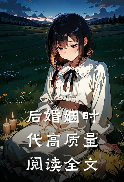 后婚姻时代高质量阅读全文