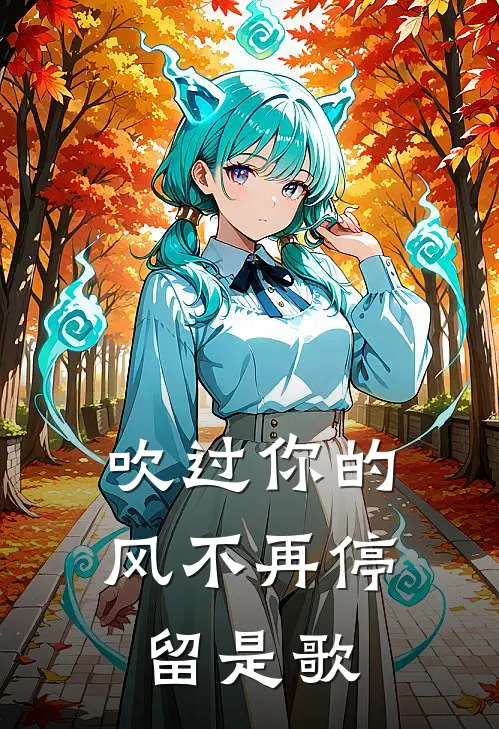 吹过你的风不再停留是歌