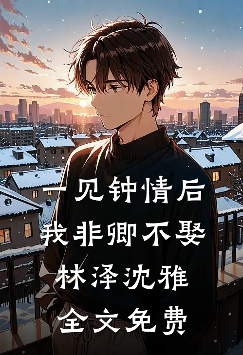 一见钟情后我非卿不娶林泽沈雅全文免费