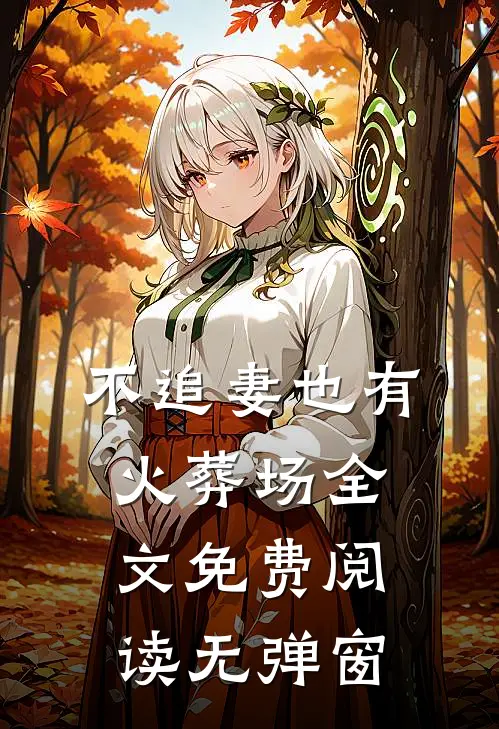 不追妻也有火葬场全文免费阅读无弹窗