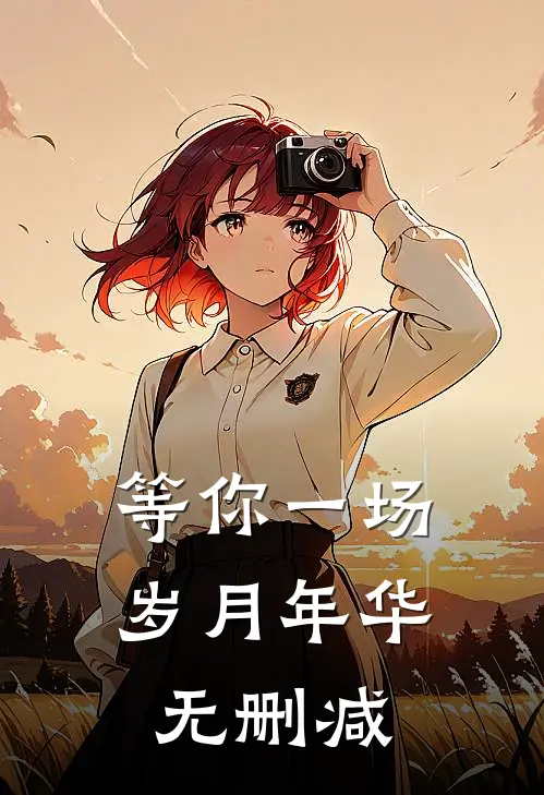 等你一场岁月年华无删减