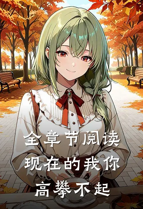 全章节阅读现在的我你高攀不起