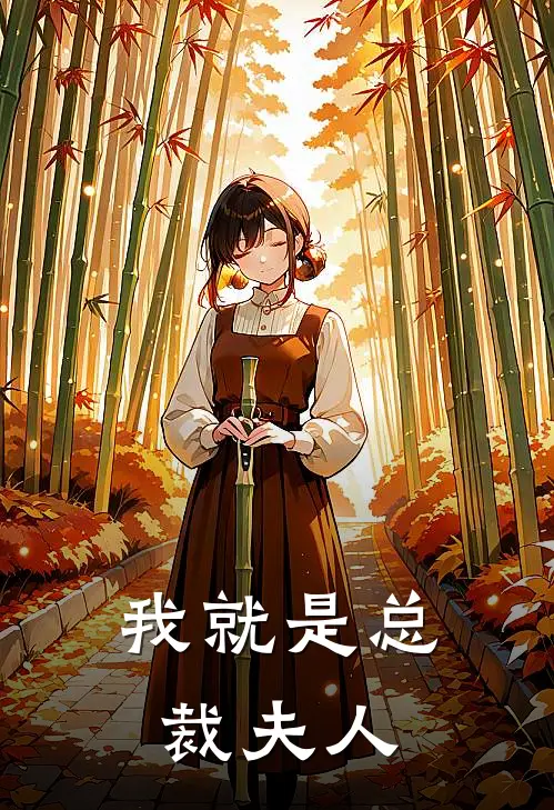 我就是总裁夫人