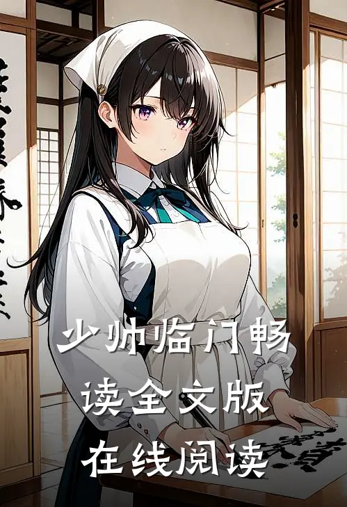 少帅临门畅读全文版在线阅读