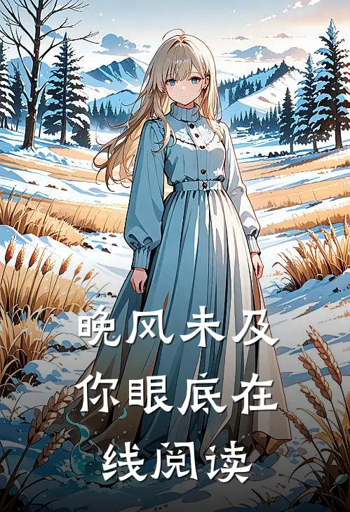 晚风未及你眼底在线阅读