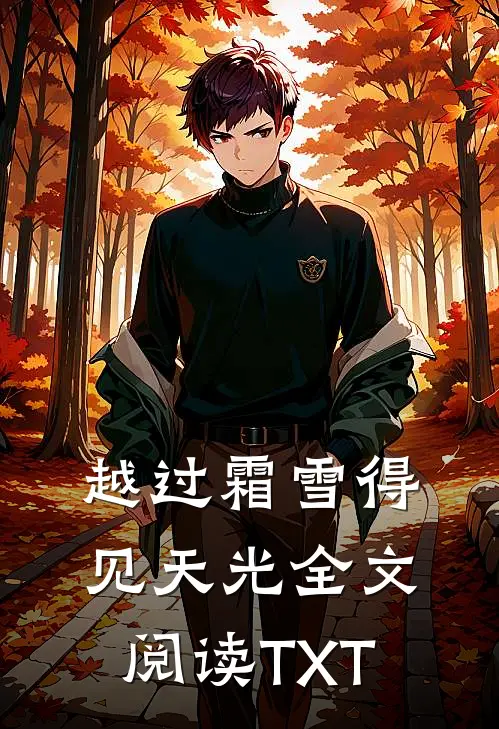 越过霜雪得见天光全文阅读TXT