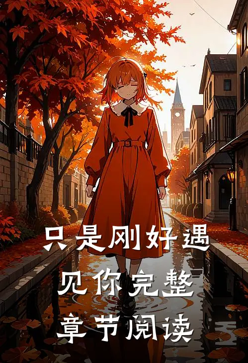 只是刚好遇见你完整章节阅读