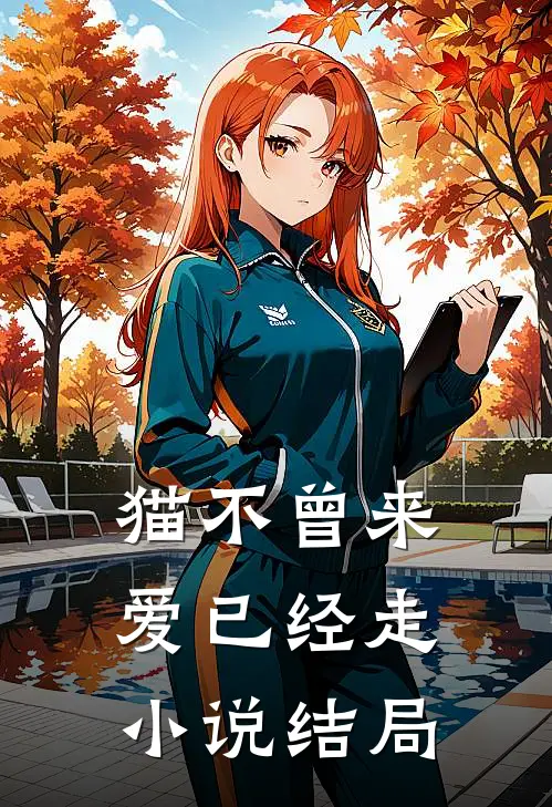 猫不曾来，爱已经走小说结局