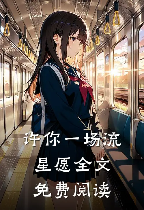 许你一场流星愿全文免费阅读
