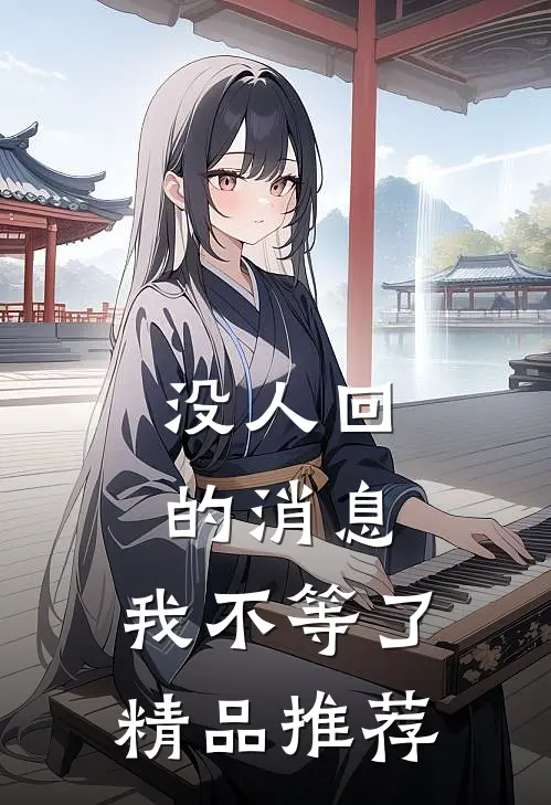 没人回的消息，我不等了精品推荐