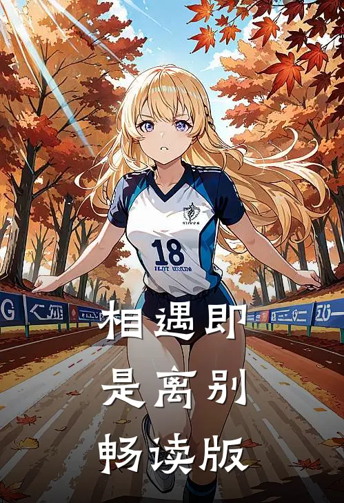 相遇即是离别畅读版