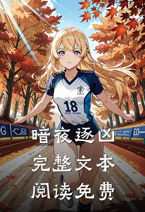 暗夜逐凶完整文本阅读免费