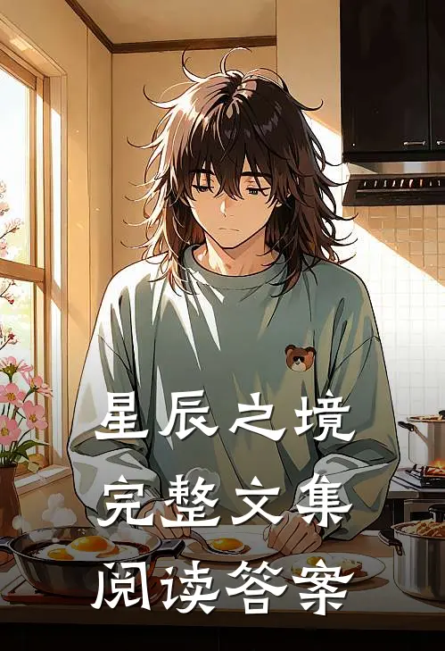 星辰之境完整文集阅读答案