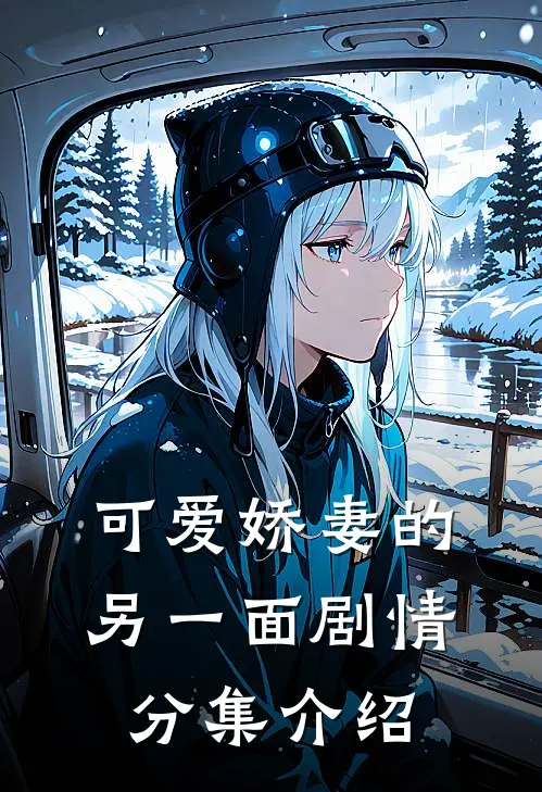 可爱娇妻的另一面剧情分集介绍