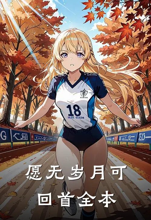 愿无岁月可回首全本