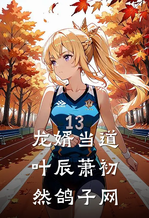 龙婿当道叶辰萧初然鸽子网