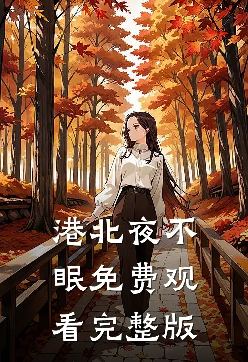 港北夜不眠免费观看完整版