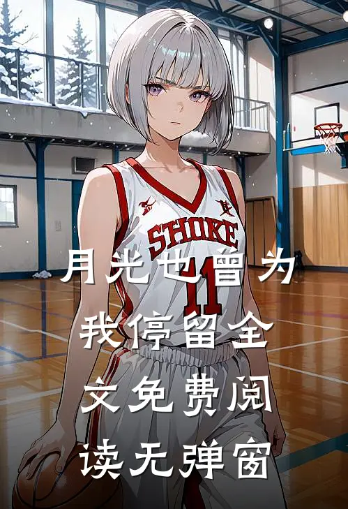 月光也曾为我停留全文免费阅读无弹窗