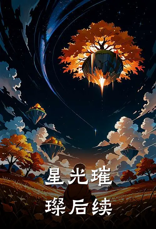 星光璀璨后续
