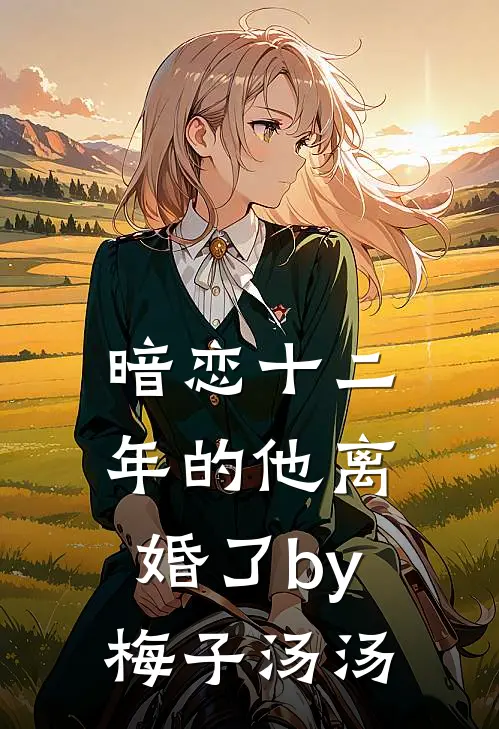 暗恋十二年的他离婚了by梅子汤汤