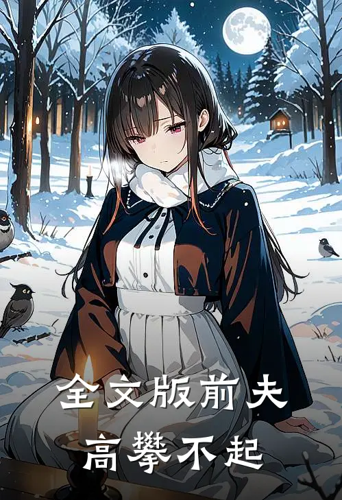 全文版前夫,高攀不起