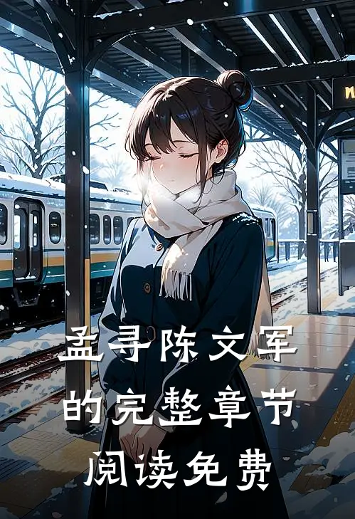 孟寻陈文军的完整章节阅读免费