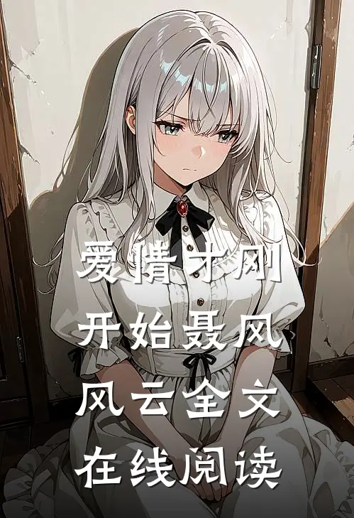 爱情才刚开始聂风风云全文在线阅读