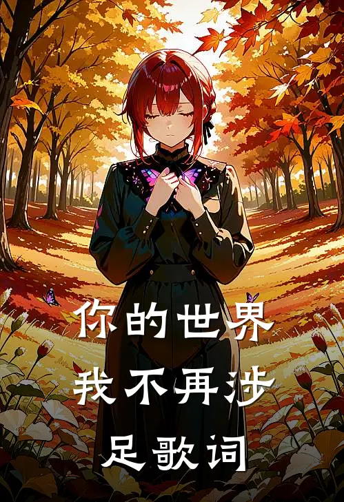 你的世界我不再涉足歌词