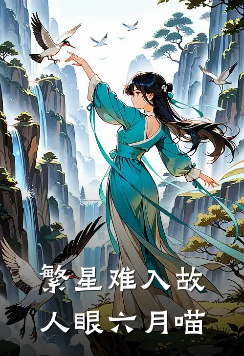 繁星难入故人眼 六月喵