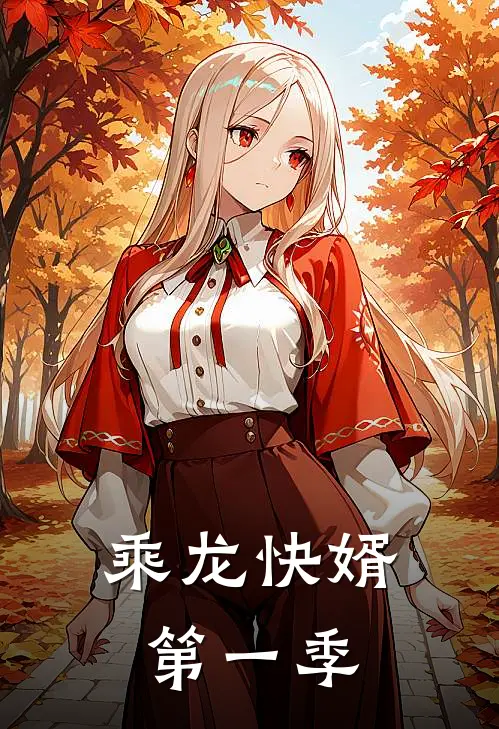 乘龙快婿第一季