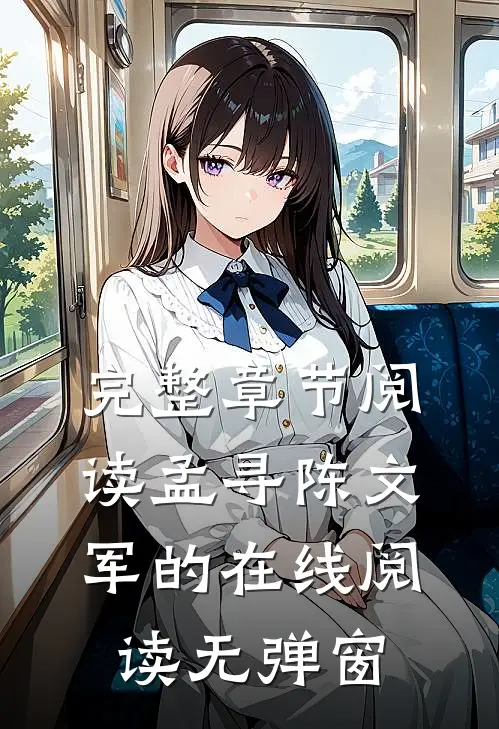 完整章节阅读孟寻陈文军的在线阅读无弹窗