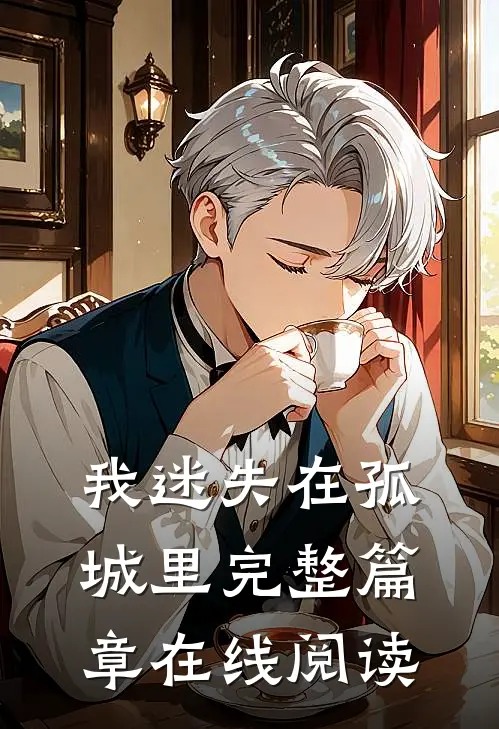 我迷失在孤城里完整篇章在线阅读