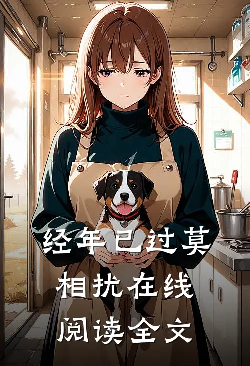经年已过莫相扰在线阅读全文