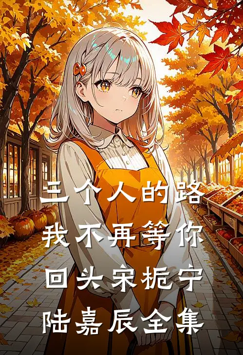 三个人的路，我不再等你回头宋栀宁陆嘉辰全集